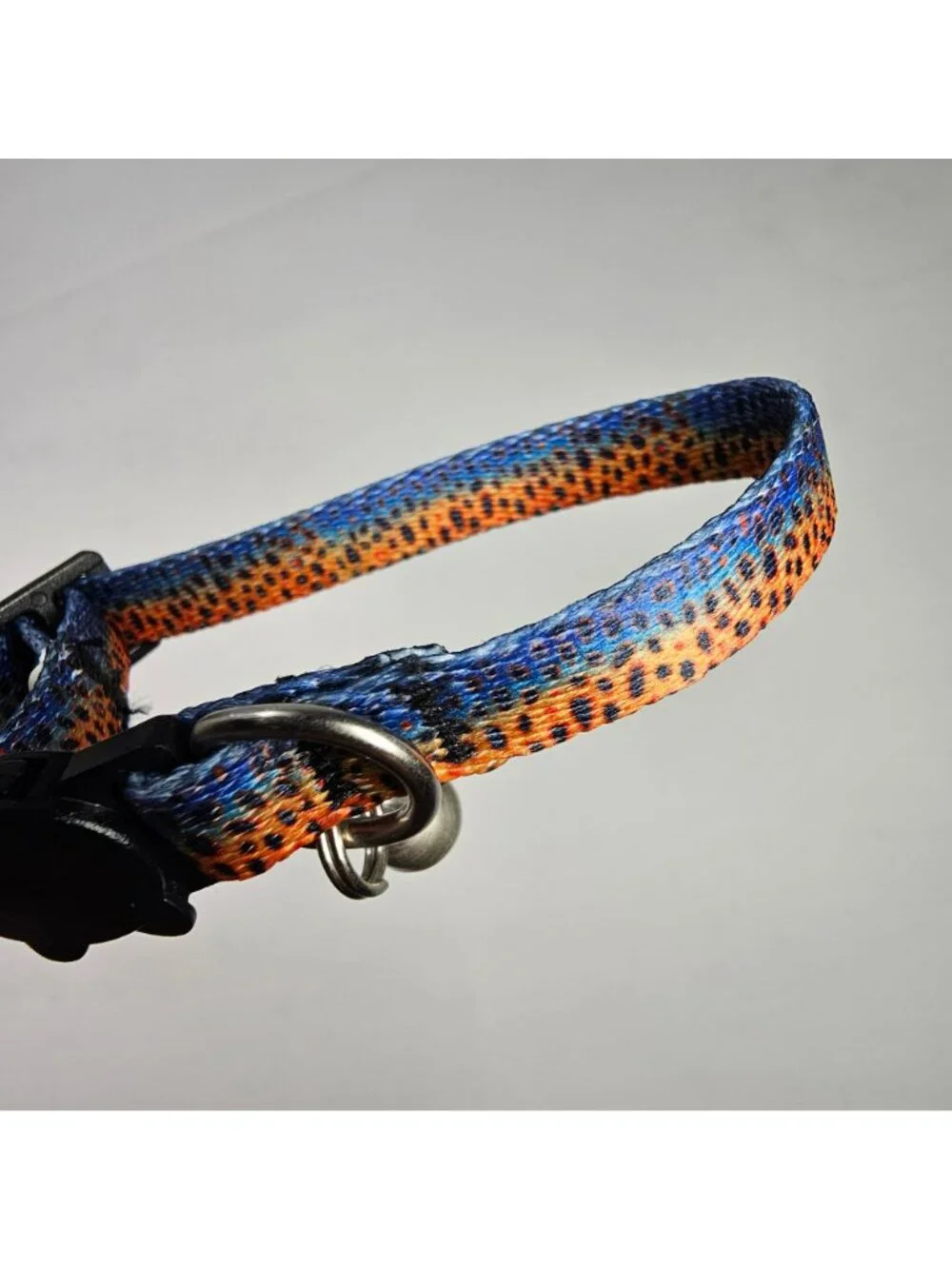 Whisker City Easy-Release Adjustable Kitten Cat Collar 6.25-9